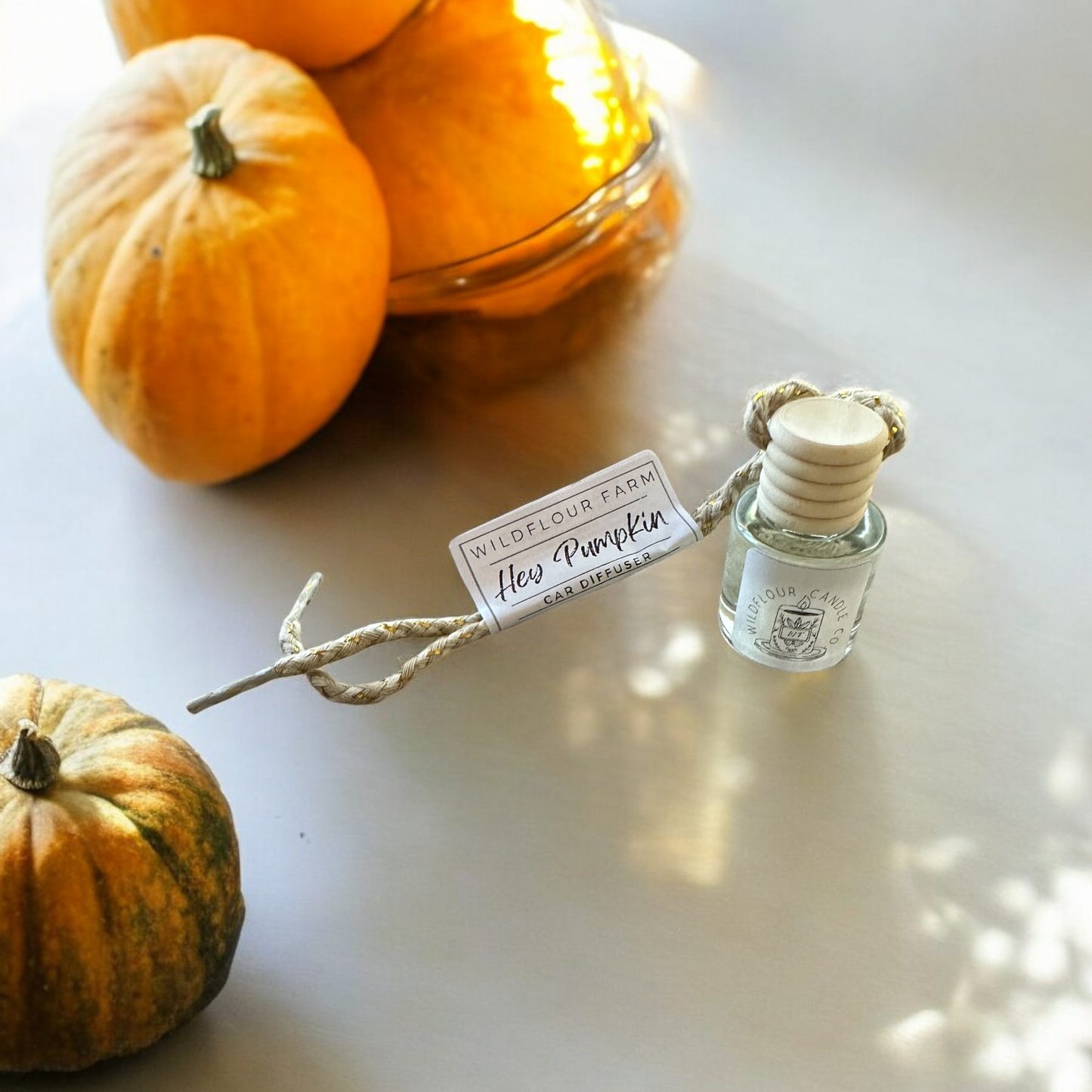 Hey Pumpkin Car Diffuser